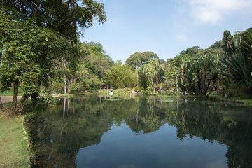 Fototapeta na wymiar Rio de Janeiro Botanical Garden