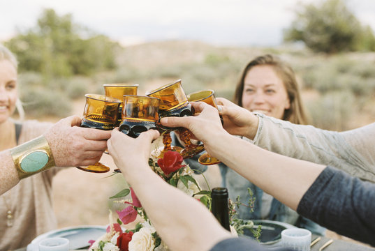 A group of women raising their glasses to toast each other at an outdoor meal. 