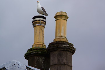 greenock,schottland