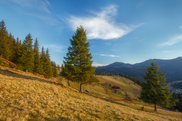 Fototapeta na wymiar Autumn landscape in the Carpathians near the village