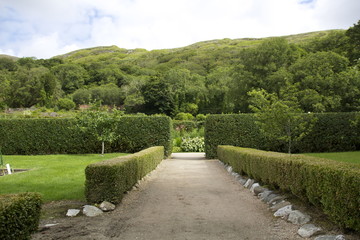 The Old Garden