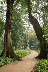 Rio de Janeiro Botanical Garden