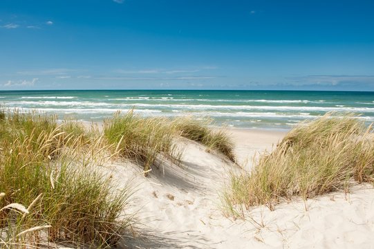 Fototapeta Coast of Denmark