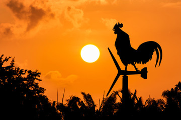 Roosters crow stand on a wind turbine. In the morning sunrise ba
