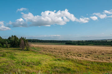 Rural landscape