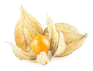 physalis