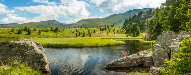 Idyllic summer landscape