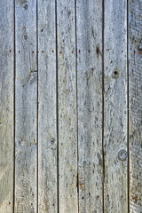 Old wood texture with natural patterns