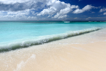 tropical landscape with a beach in a sunny day