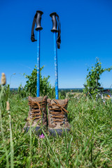 Wine Tourism-Pair of hiking shoes in the grass surrounded vineya