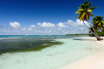 Obraz na płótnie Canvas Amazing view of Caribbean beach with white sand and beautiful ex