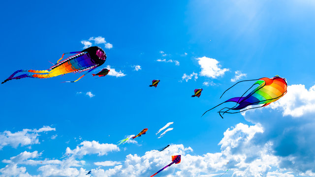 Various kites flying on the sky