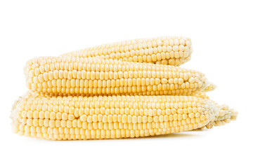 Several ears of corn on a white background