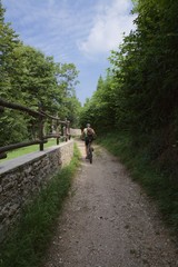Fototapeta premium ciclista in mountain bike su sentiero di campagna in estate