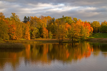 Autumn colorful foliage over lake with beautiful woods in red and yellow color.