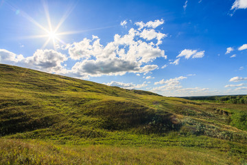 Summer landscape