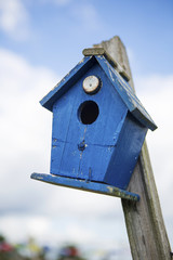 blue bird house in front of cloudy sky