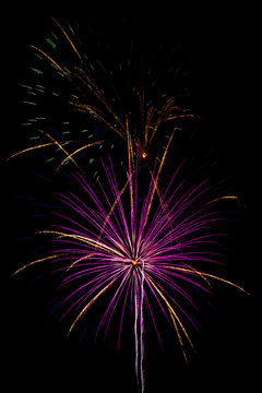 firework isolated on black background, sumida river firework fes