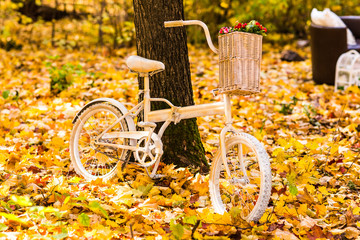 Fototapeta premium Old and vintage bicycle 