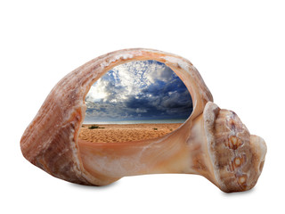 Sea beach in sun day through broken rapana shell