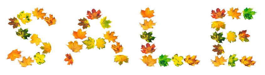 Naklejka na ściany i meble Word SALE composed of autumn maple leafs