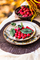 Decorated table for a  dinner in autumn Park.