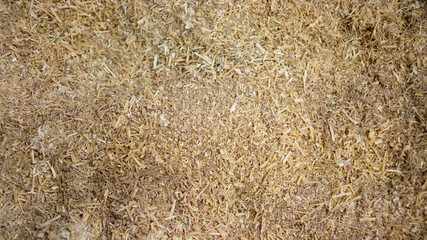 Sawdust Texture