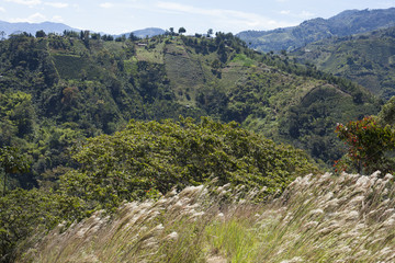 Fototapeta na wymiar Paisaje montañoso colombiano