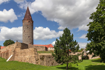 Burg