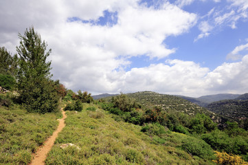 Spring landscape in Jerusalem mountains.