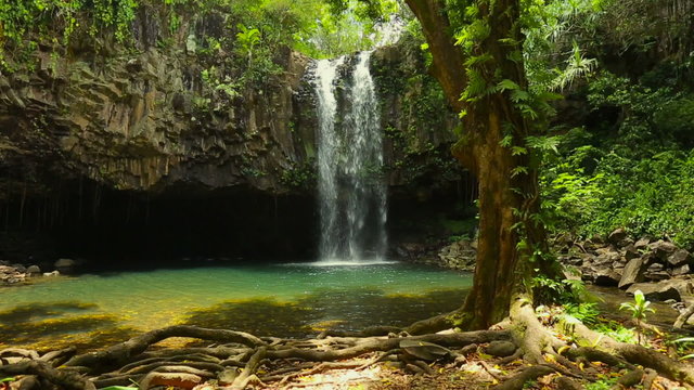 Steadicam Shot Through the Tropical Hawaiian Jungle Revealing a Beaitufl Waterfall and Swimming Hole

