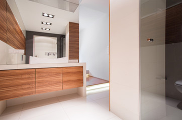 Bathroom with decorative wood imitation - obrazy, fototapety, plakaty