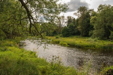 Fototapeta na wymiar Summer river landscape