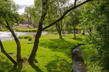 Summer sunny landscape with a creek 
