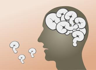 image of a head full of questions