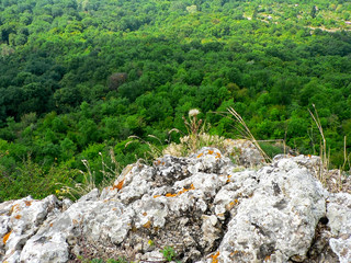 Rock and forest in mountains and cloudy sky