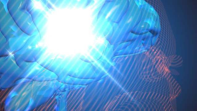 Brain with nerve cell