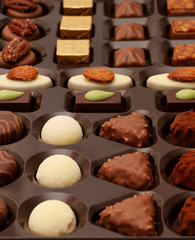 Various Chocolates
