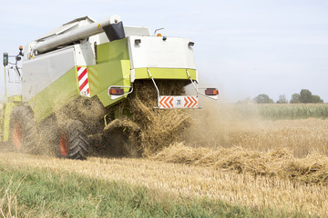 Obraz premium cutting mechanism in harvester