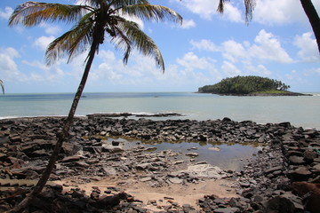 Fototapeta na wymiar Guyane - Les Îles du Salut - Aout 2015