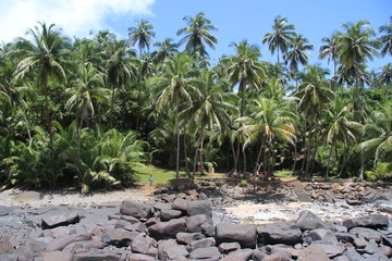 Guyane - Les Îles du Salut - Aout 2015