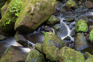 Looking down on a stream running through a gorge. In Padley gorge, Peak District, Derbyshire, England, UK.