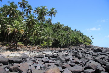Guyane - Les &Icirc;les du Salut - Aout 2015