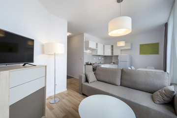 Wide view of living room in scandinavian style