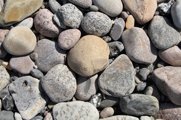 Kiesstrand an der Ostsee