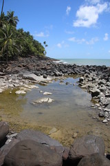 Guyane - Les Îles du Salut - Aout 2015