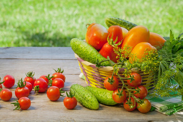 Fresh ripe vegetables
