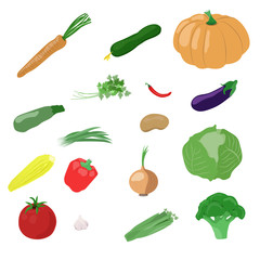 Vegetables set: carrot, cucumber, pumpkin, parsley, chilli, squash, green onion, potato, cabbage, corn, pepper, onion, broccoli, tomato, garlic, celery.