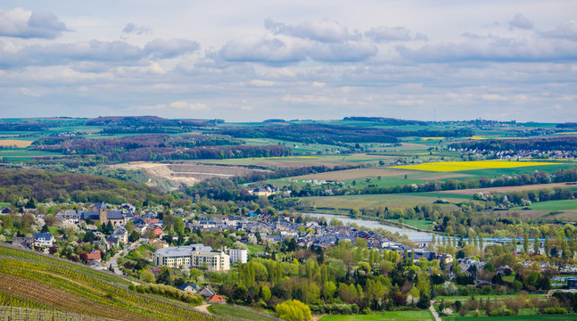 detail of vineyards near luxembourg town remich surrounded by many small villages and moselle river.