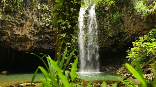 Artsy Shot Walking Through the Jungle Looking at a Big Powerfull Waterfall
